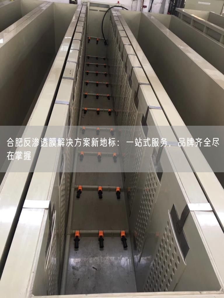 合肥反渗透膜解决方案新地标：一站式服务，品牌齐全尽在掌握(图1)