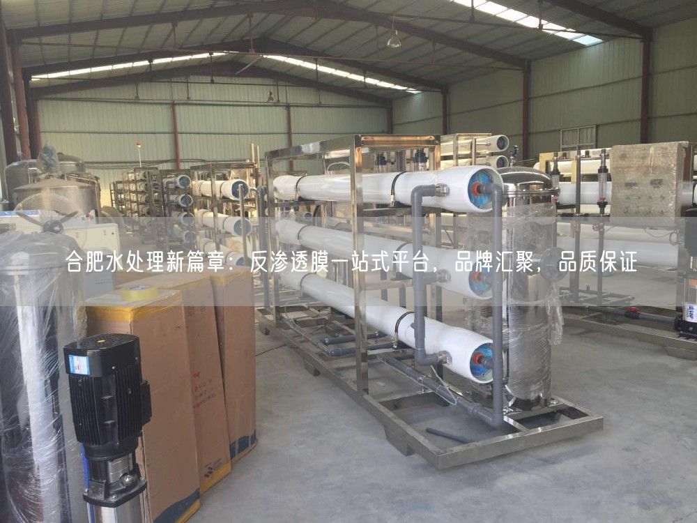 合肥水处理新篇章：反渗透膜一站式平台，品牌汇聚，品质保证(图1)