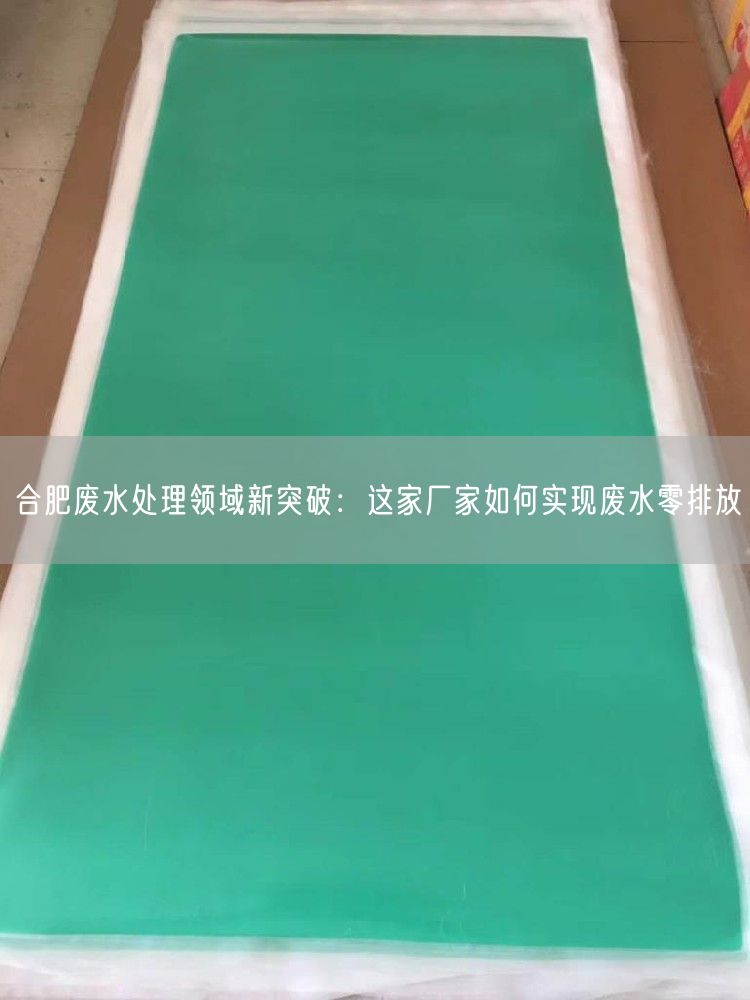 合肥废水处理领域新突破：这家厂家如何实现废水零排放(图1)